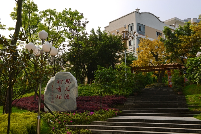 
小班校训石